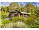 485 Wild Dog Road, Apollo Bay VIC 3233