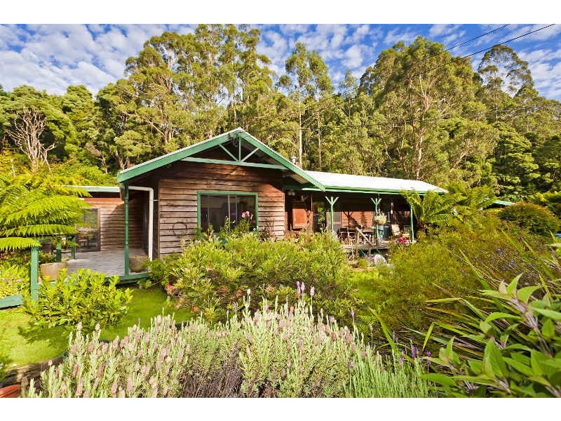 485 Wild Dog Road, Apollo Bay VIC 3233