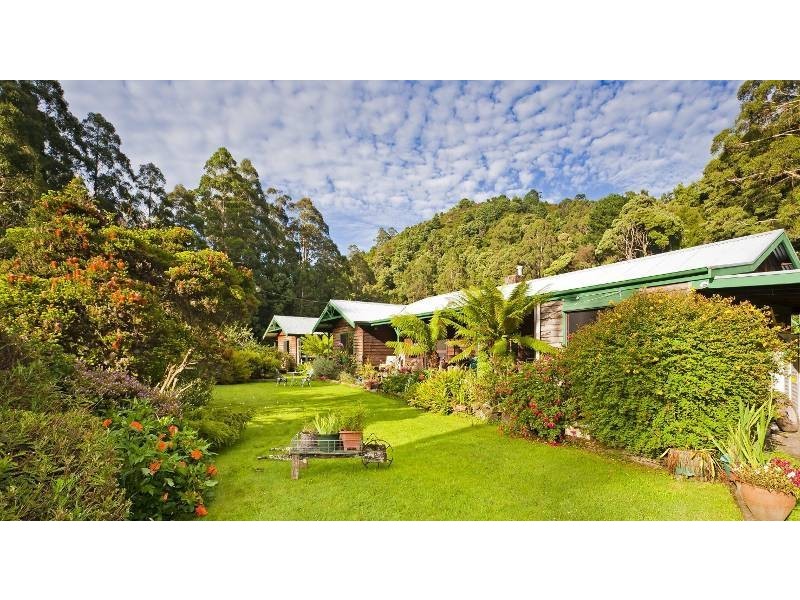 485 Wild Dog Road, Apollo Bay VIC 3233