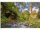 485 Wild Dog Road, Apollo Bay VIC 3233