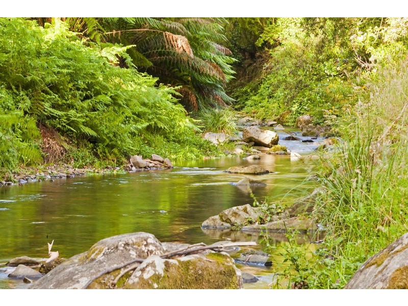485 Wild Dog Road, Apollo Bay VIC 3233