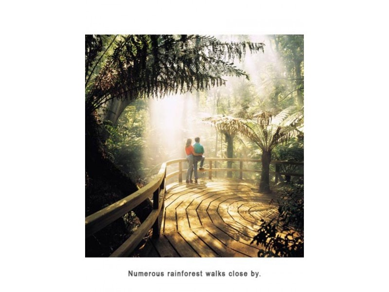 22 Great Ocean Road, Lavers Hill VIC 3238