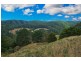 500 Wild Dog Road, Apollo Bay VIC 3233