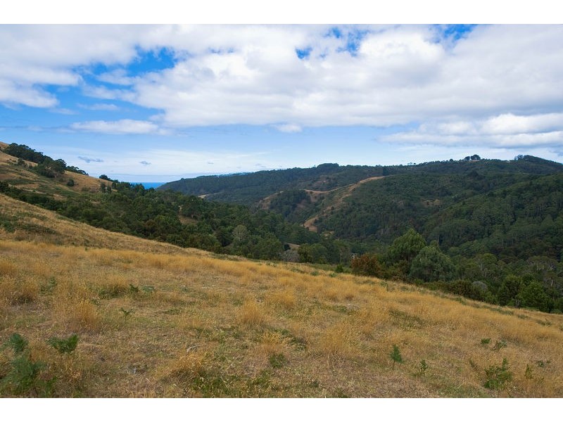 500 Wild Dog Road, Apollo Bay VIC 3233