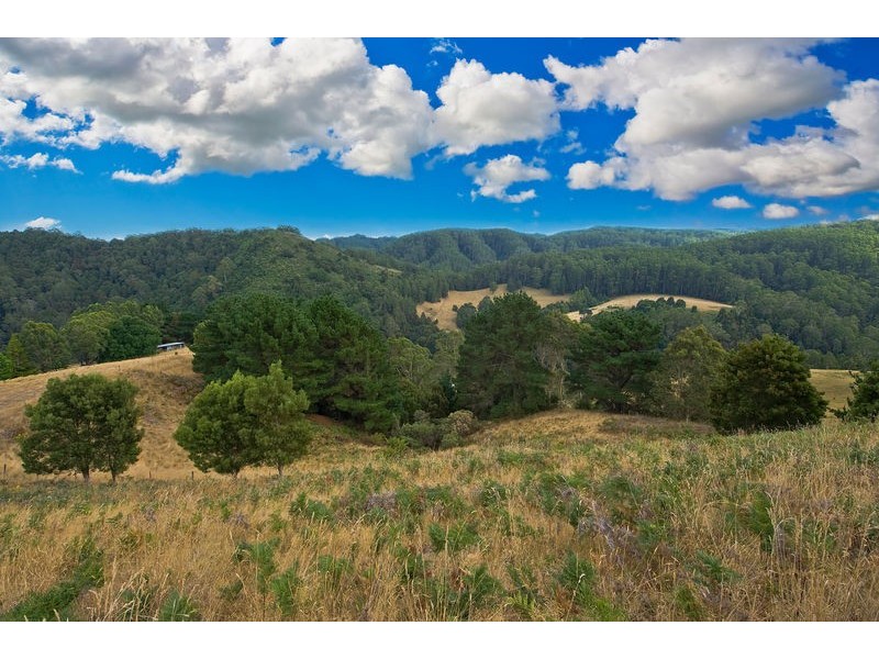 500 Wild Dog Road, Apollo Bay VIC 3233