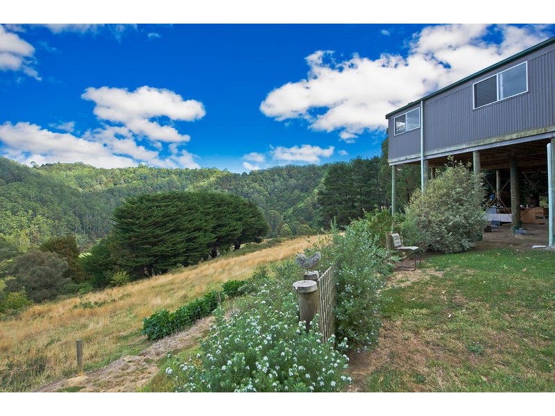 500 Wild Dog Road, Apollo Bay VIC 3233