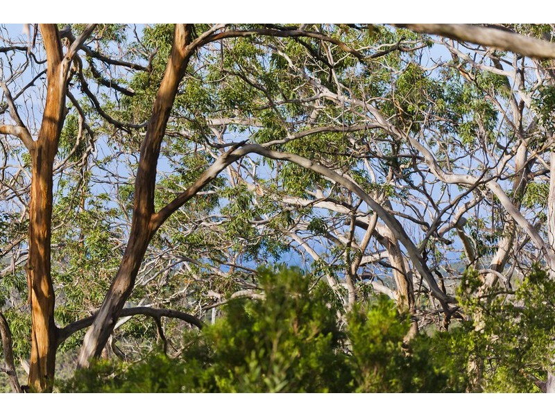 Lot 1 Otway Park (Cape Otway), Apollo Bay VIC 3233
