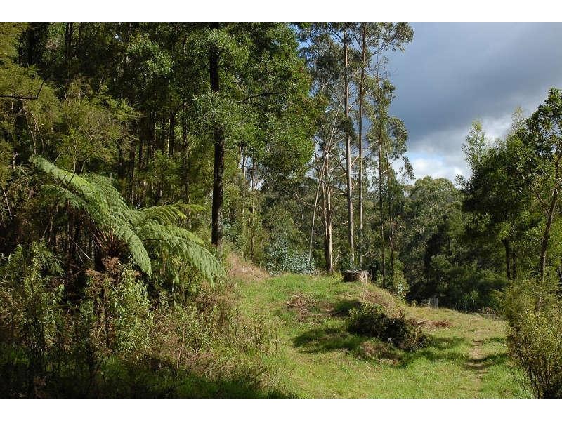 80 Old Hordernvale Access Road, Apollo Bay VIC 3233