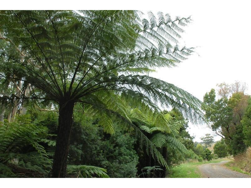 80 Old Hordernvale Access Road, Apollo Bay VIC 3233