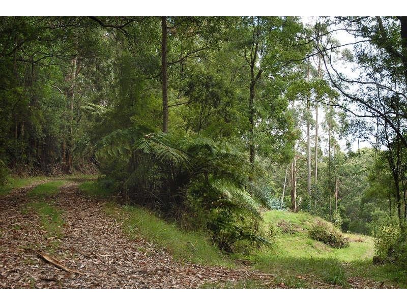 80 Old Hordernvale Access Road, Apollo Bay VIC 3233