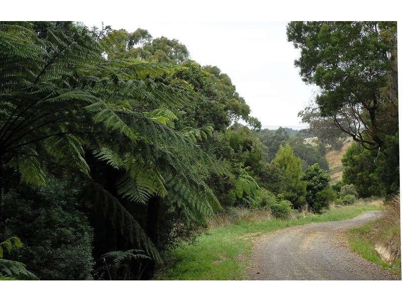 80 Old Hordernvale Access Road, Apollo Bay VIC 3233