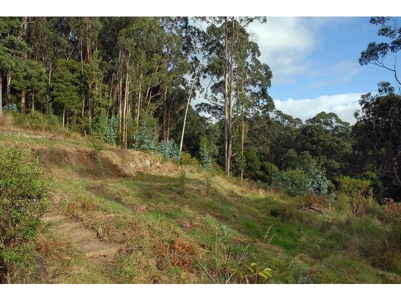 80 Old Hordernvale Access Road, Apollo Bay VIC 3233