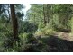 80 Old Hordernvale Access Road, Apollo Bay VIC 3233