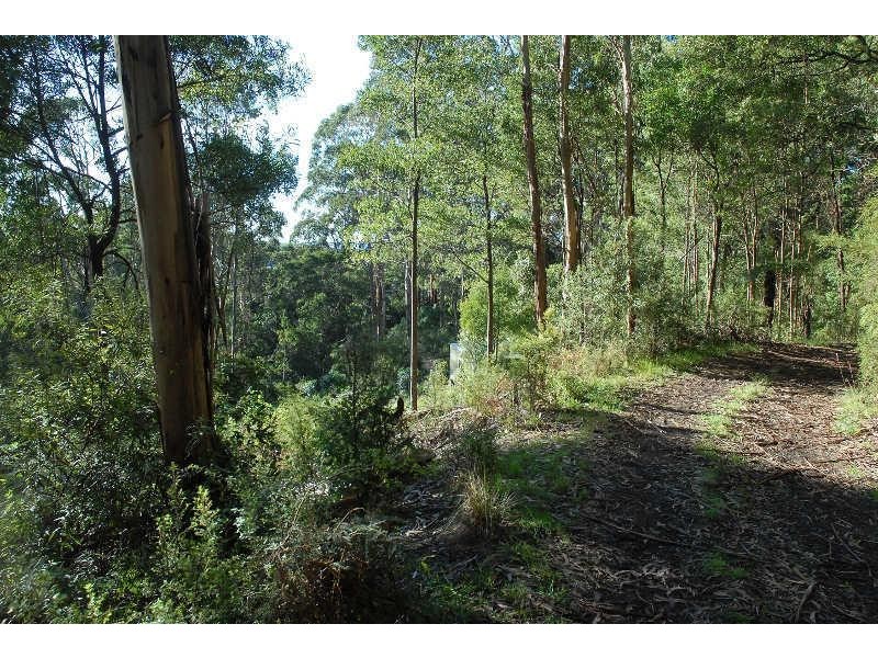 80 Old Hordernvale Access Road, Apollo Bay VIC 3233