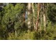80 Old Hordernvale Access Road, Apollo Bay VIC 3233