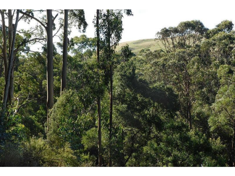 80 Old Hordernvale Access Road, Apollo Bay VIC 3233