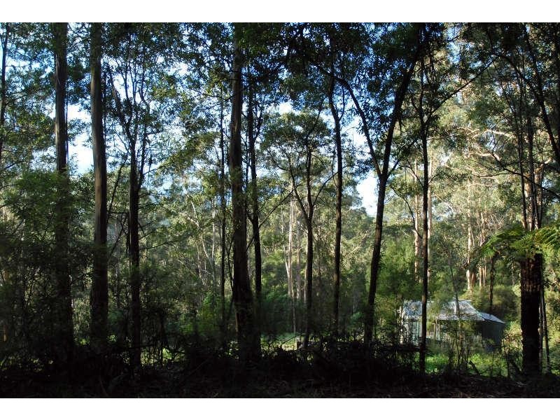 80 Old Hordernvale Access Road, Apollo Bay VIC 3233