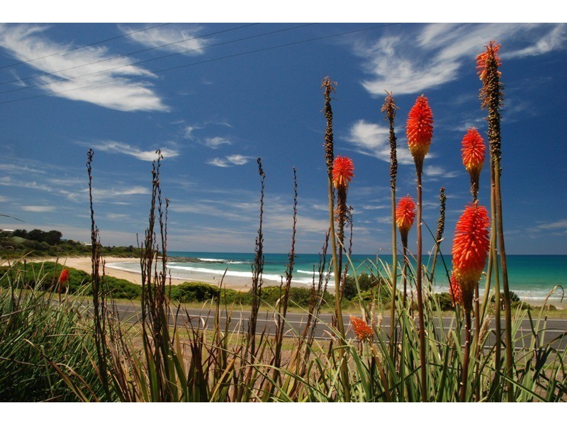 4 Motts Lane, Skenes Creek VIC 3233