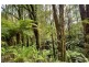1-15 Great Ocean Road, Lavers Hill VIC 3238