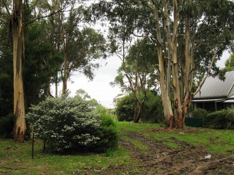 68 Old Coach Road, Skenes Creek VIC 3233