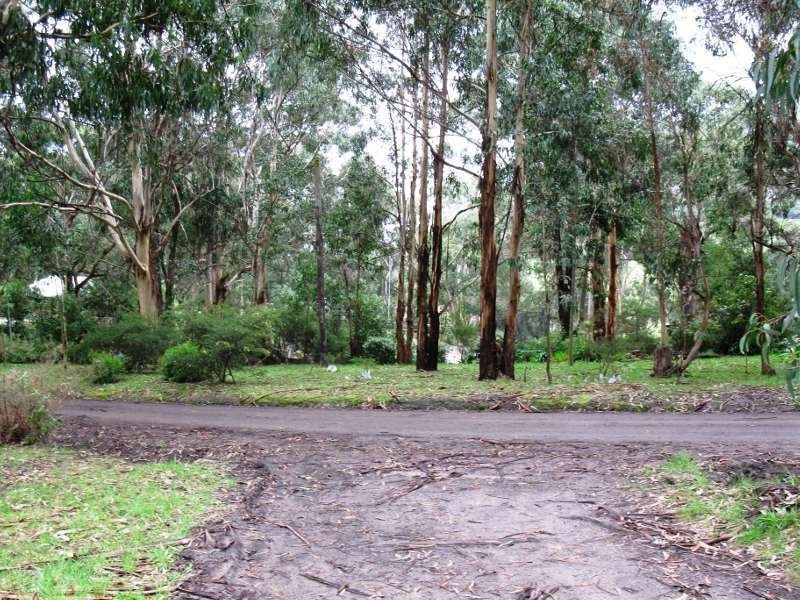 68 Old Coach Road, Skenes Creek VIC 3233