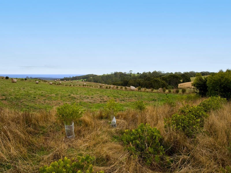 4695 Colac Lavers Hill Road, Lavers Hill VIC 3238