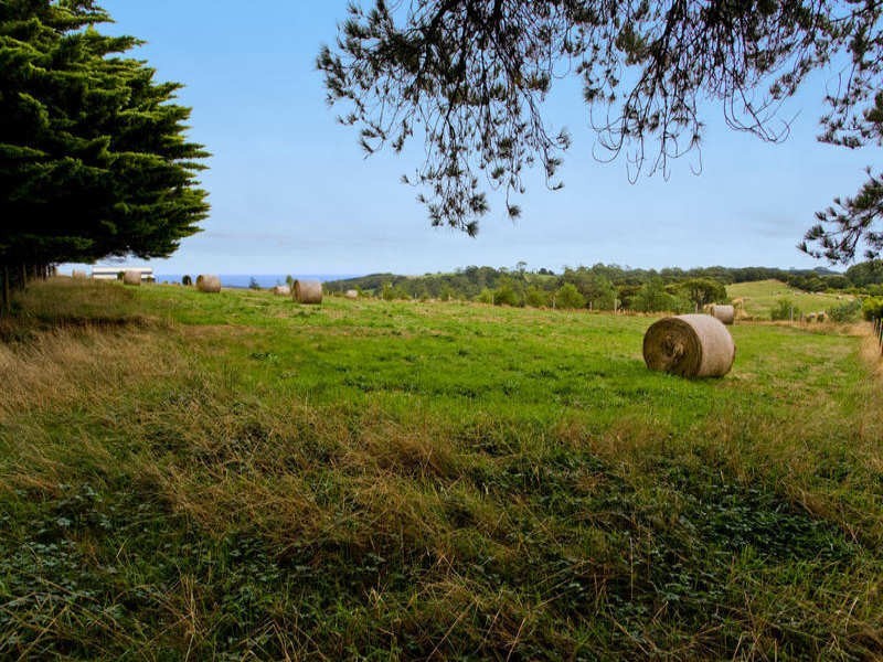 4695 Colac Lavers Hill Road, Lavers Hill VIC 3238