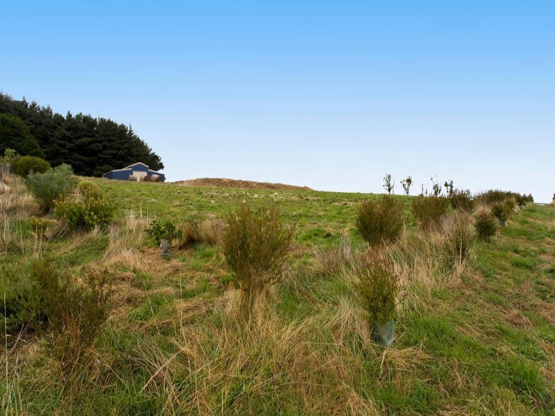 4695 Colac Lavers Hill Road, Lavers Hill VIC 3238