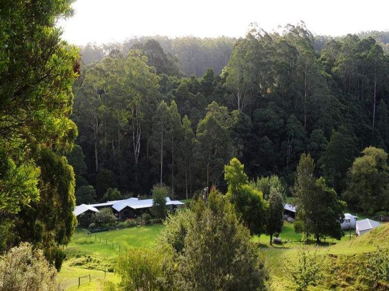 485 Wild Dog Road, Apollo Bay VIC 3233