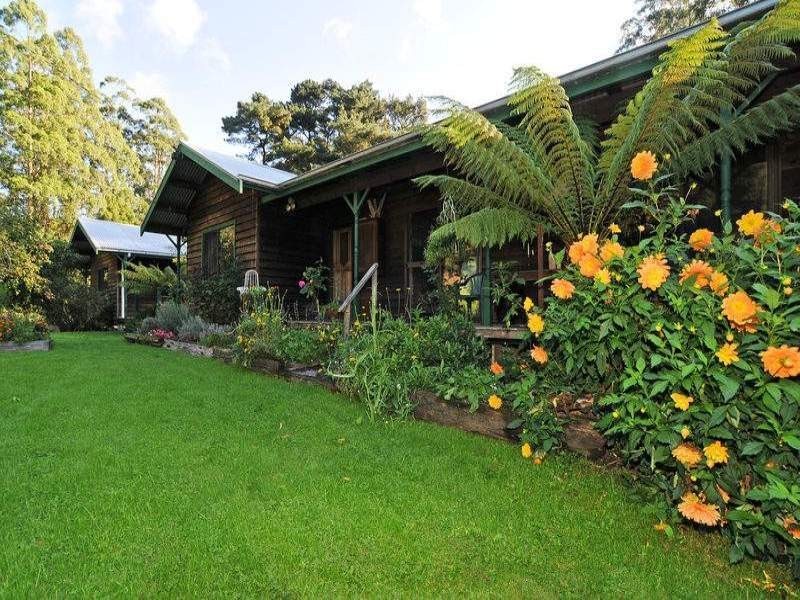 485 Wild Dog Road, Apollo Bay VIC 3233