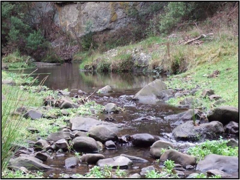 485 Wild Dog Road, Apollo Bay VIC 3233