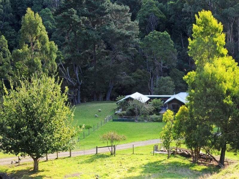 485 Wild Dog Road, Apollo Bay VIC 3233