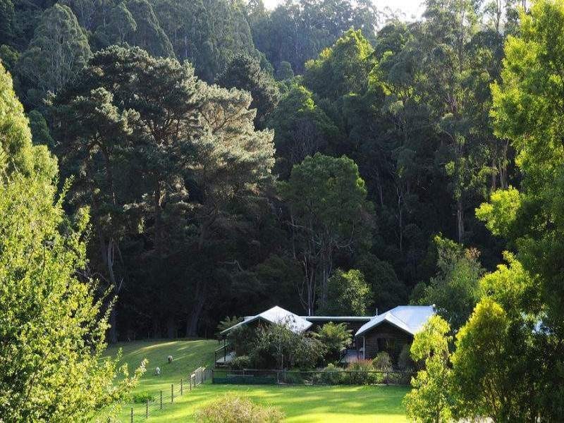 485 Wild Dog Road, Apollo Bay VIC 3233