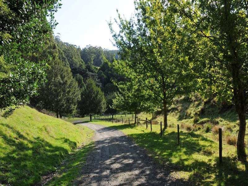 485 Wild Dog Road, Apollo Bay VIC 3233