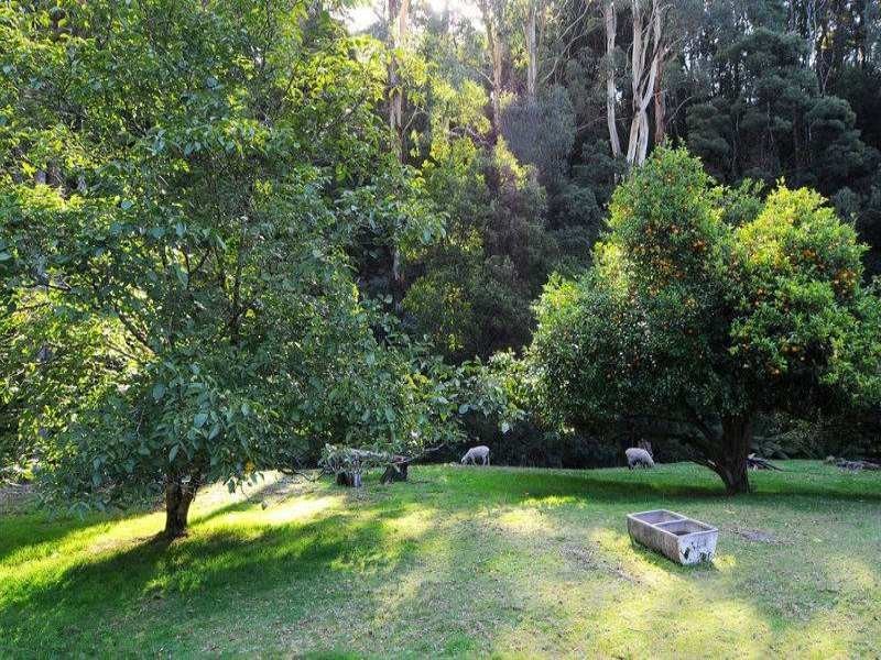 485 Wild Dog Road, Apollo Bay VIC 3233