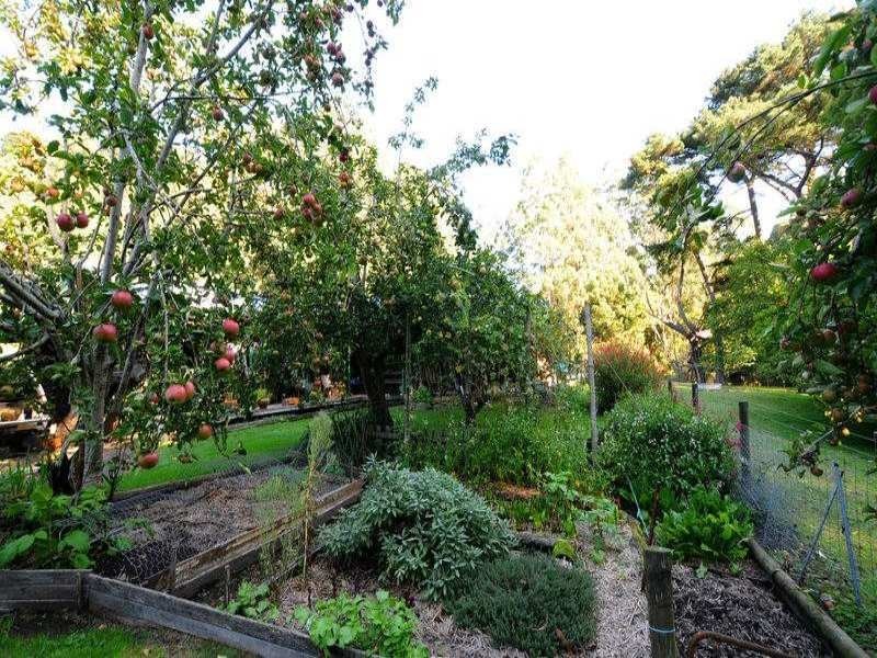 485 Wild Dog Road, Apollo Bay VIC 3233