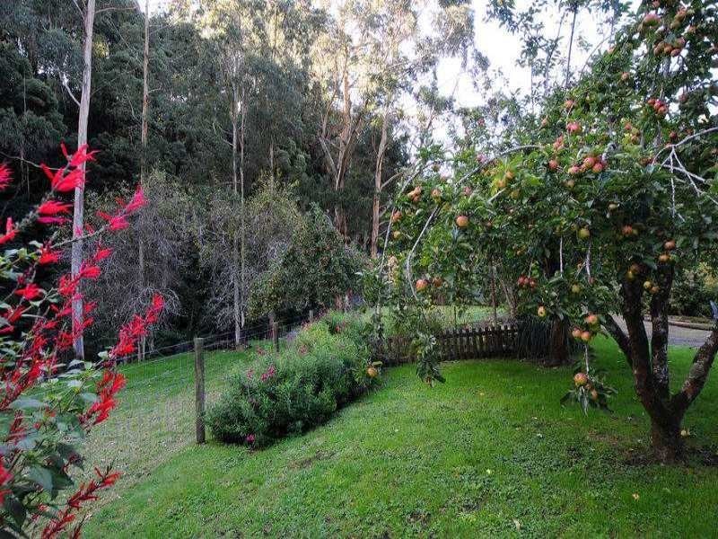 485 Wild Dog Road, Apollo Bay VIC 3233