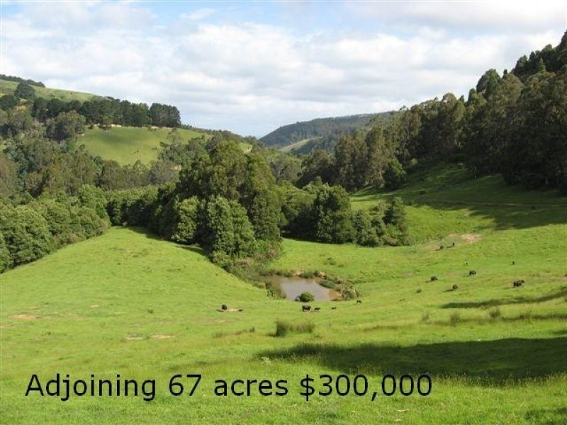 485 Wild Dog Road, Apollo Bay VIC 3233