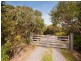 355 Great Ocean Road, Marengo VIC 3233