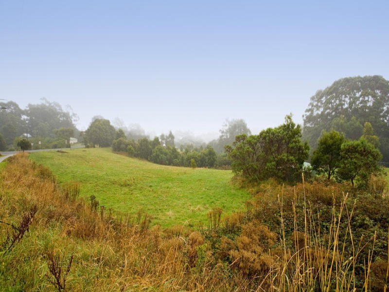 4 College Drive, Lavers Hill VIC 3238