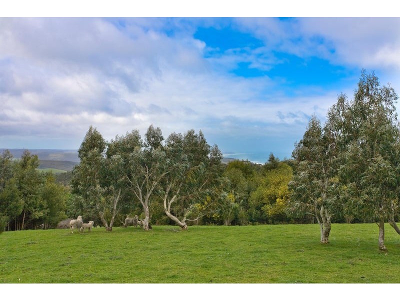 235 Hiders Access Track, Yuulong VIC 3237