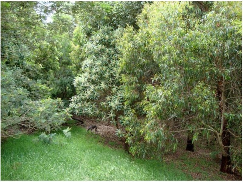 235 Hiders Access Track, Yuulong VIC 3237