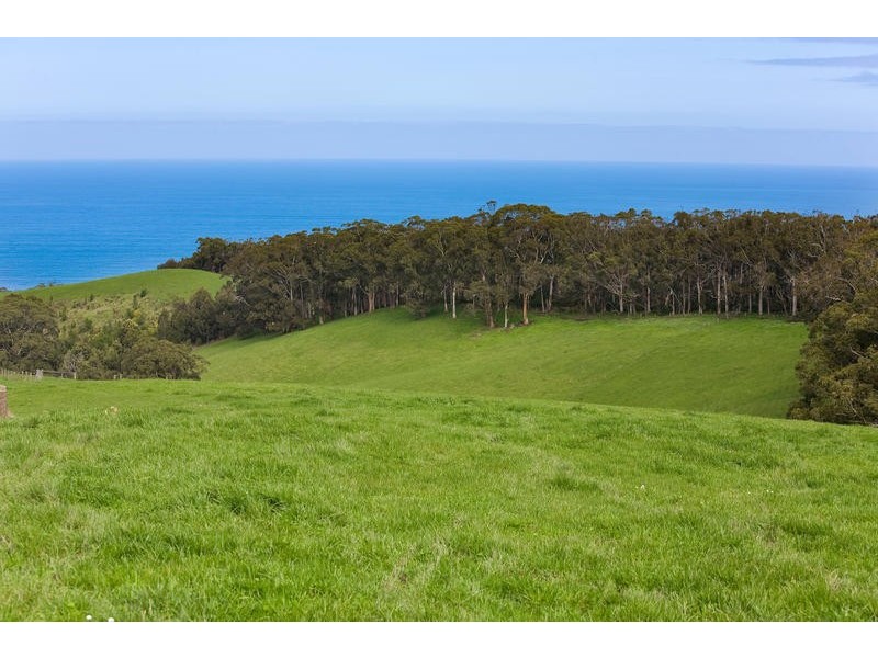 415  Sunnyside Road, Apollo Bay VIC 3233