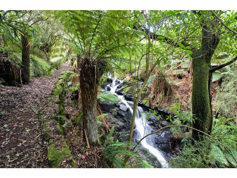 415  Sunnyside Road, Apollo Bay VIC 3233