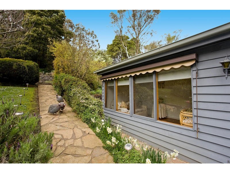 415  Sunnyside Road, Apollo Bay VIC 3233