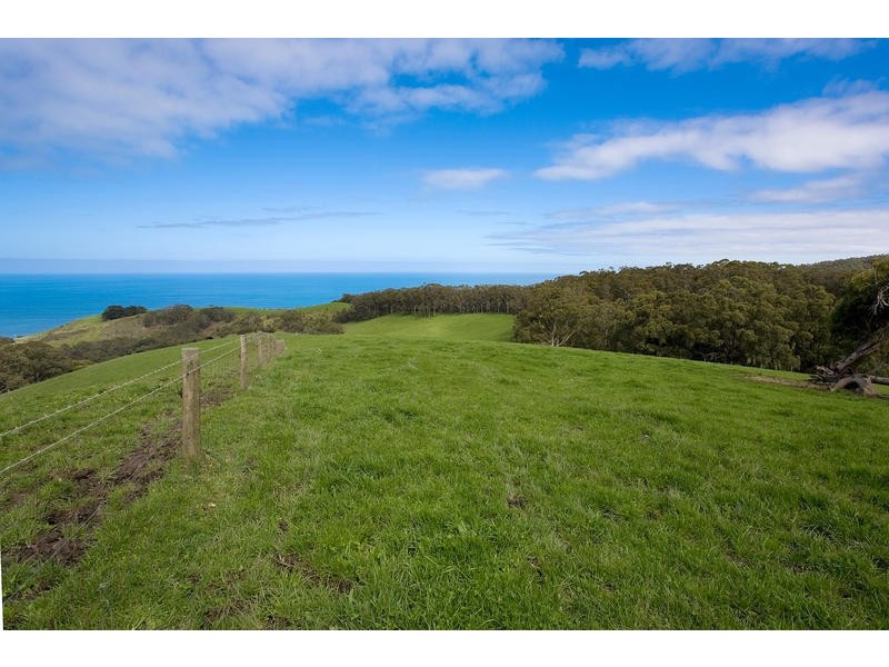 415  Sunnyside Road, Apollo Bay VIC 3233