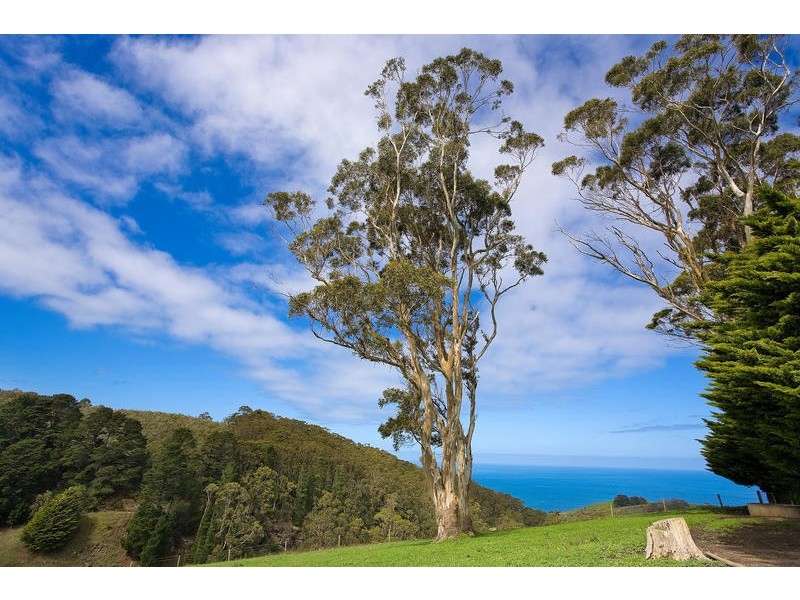 415  Sunnyside Road, Apollo Bay VIC 3233