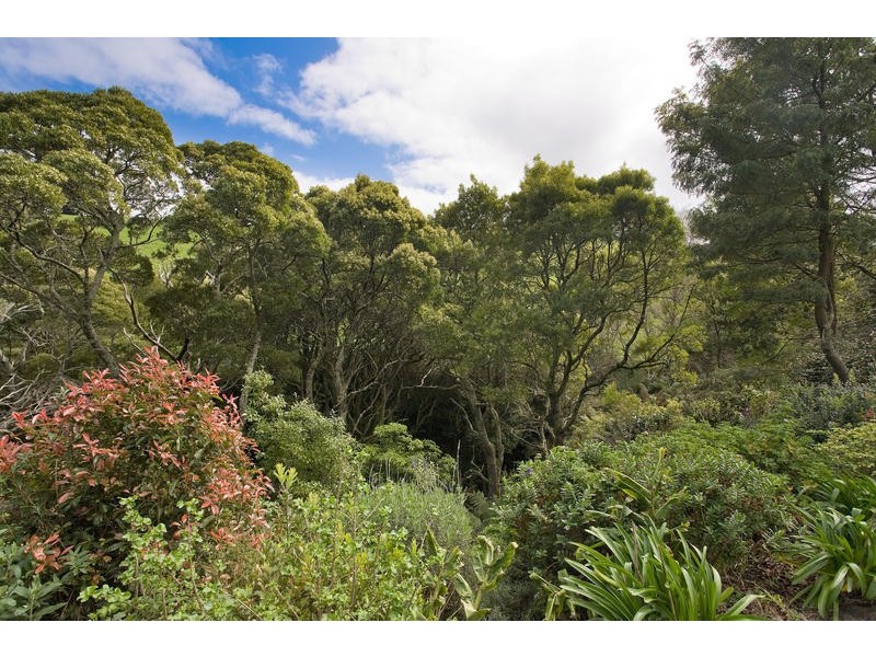 415  Sunnyside Road, Apollo Bay VIC 3233