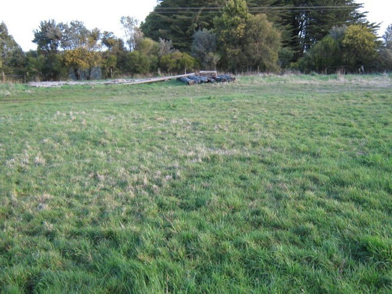 31 Main Road, Beech Forest VIC 3237