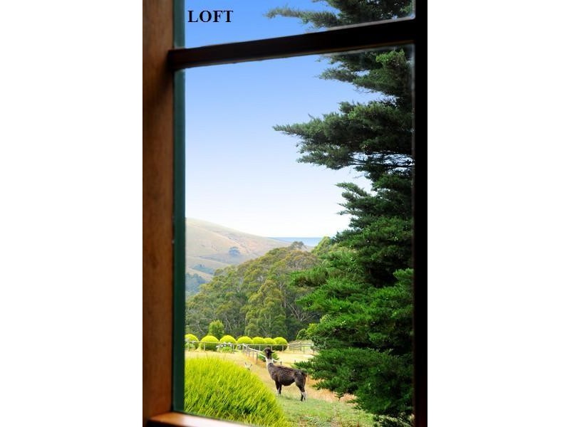 355  Killala Road, Apollo Bay VIC 3233